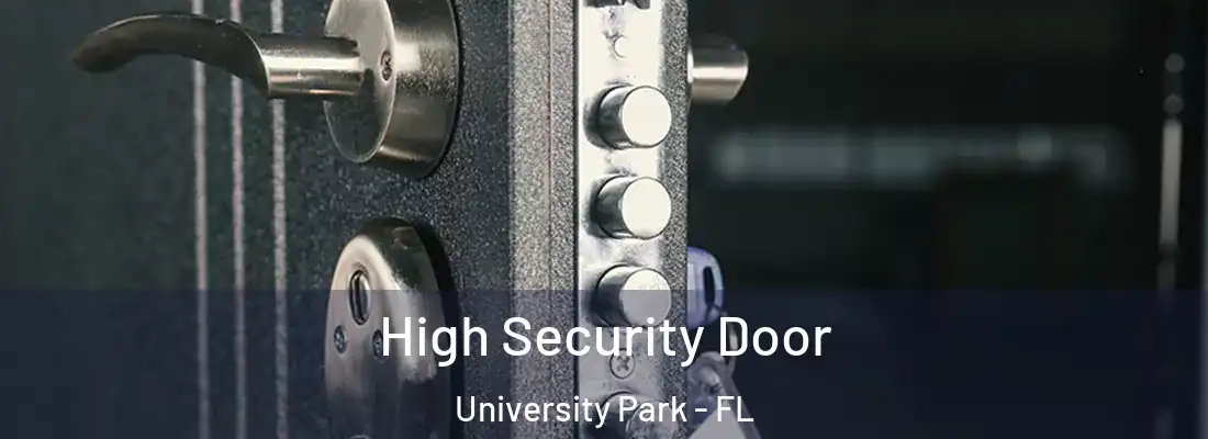 High Security Door University Park - FL
